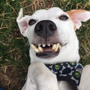 Meet your Posher, Jenny